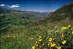 Peru Panorama